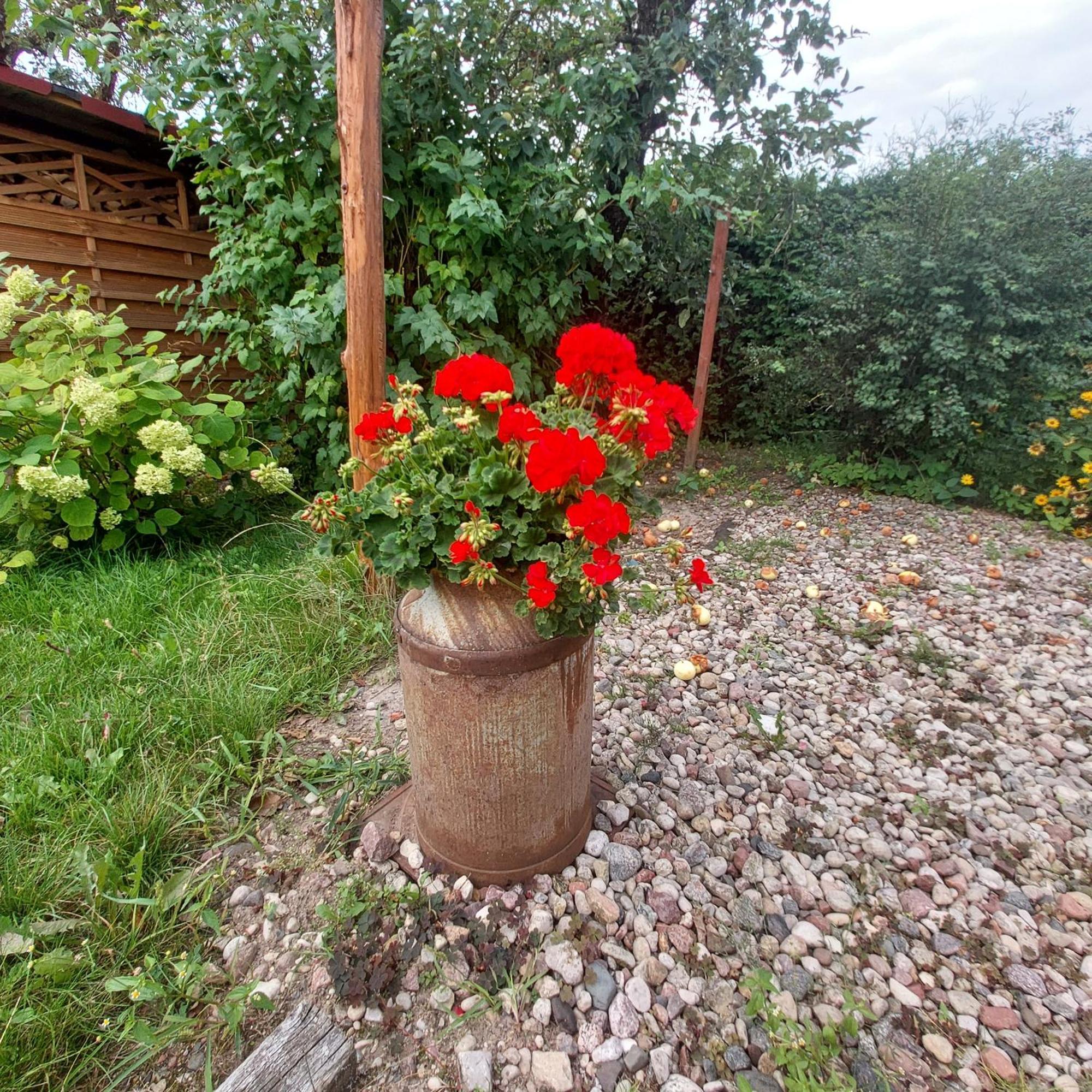 Mazury Home Giżycko Exterior foto